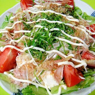 豆腐と香味野菜のサラダ